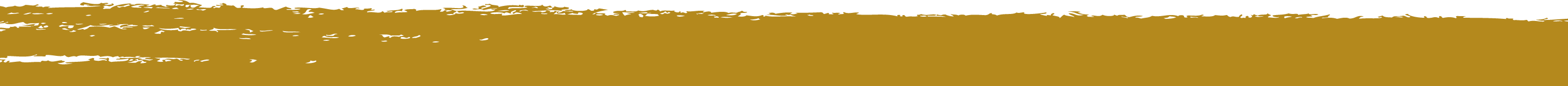 img-divider-mustard-top